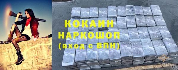 индика Алексеевка